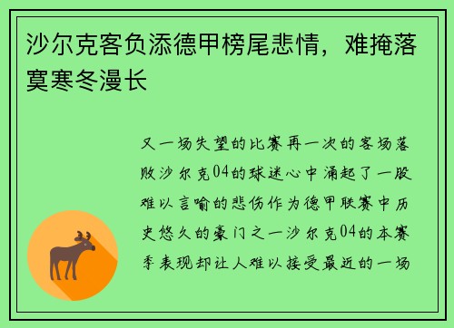 沙尔克客负添德甲榜尾悲情，难掩落寞寒冬漫长