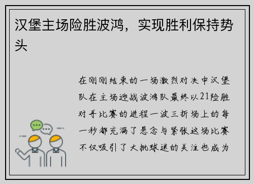 汉堡主场险胜波鸿，实现胜利保持势头