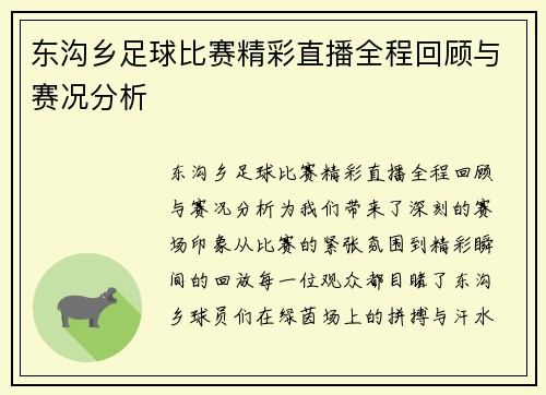 东沟乡足球比赛精彩直播全程回顾与赛况分析